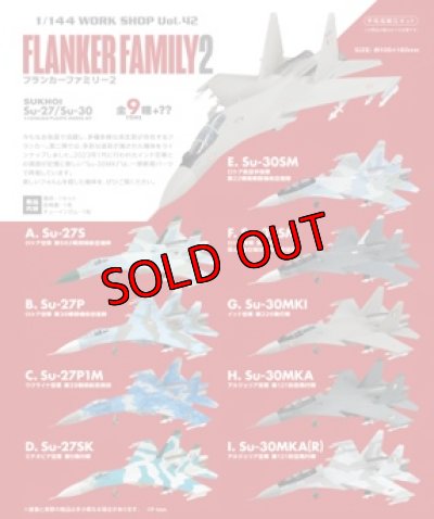 画像2:  フランカーファミリー２SUKHOI Su-27 Su-30   C　 Su-27P1M 　 ウクライナ空軍第39戦術航空旅団　エフトイズ  1/144戦闘機