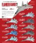 画像2:  フランカーファミリー２SUKHOI Su-27 Su-30   B　 Su-27P　ロシア空軍第38戦闘航空連隊　エフトイズ  1/144戦闘機 (2)